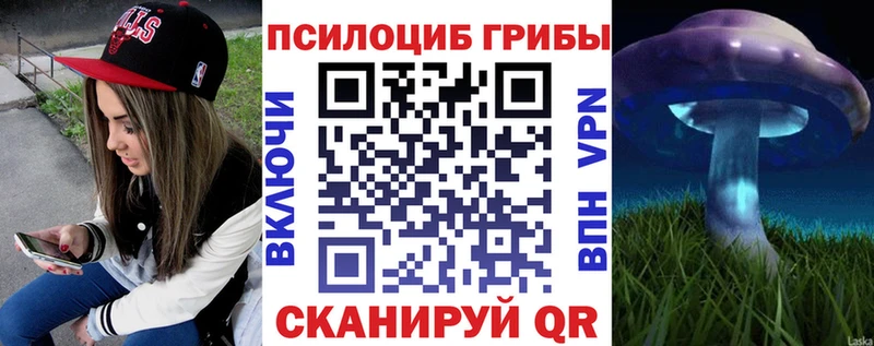 где найти Порхов Псилоцибиновые грибы ЛСД
